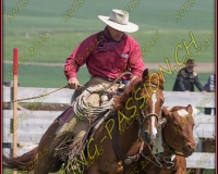 2NODS 0398
